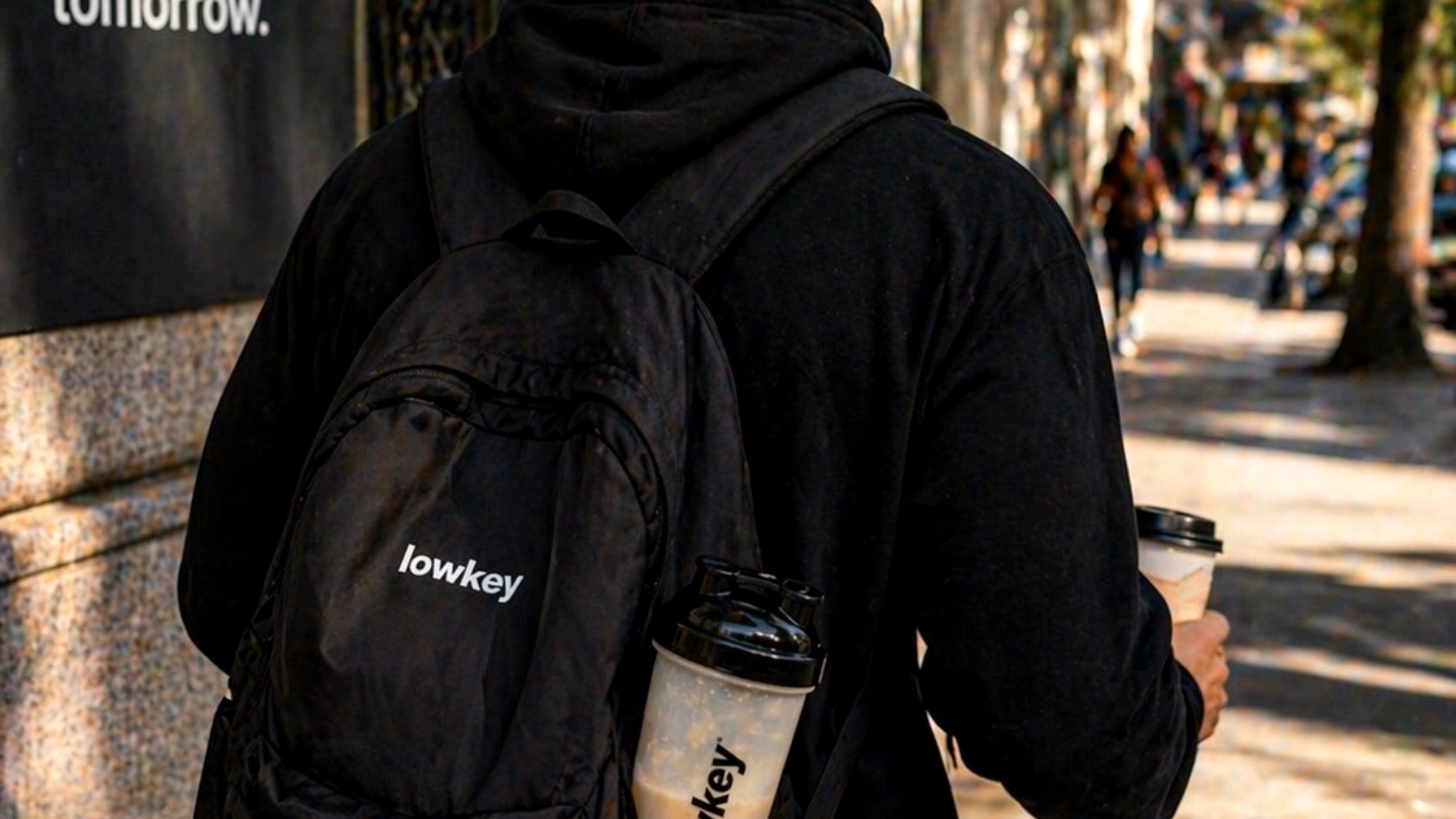 LOWKEY Creatina Monohidratada 100% Pura